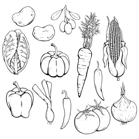 Premium Vector | Black and white vegetables set