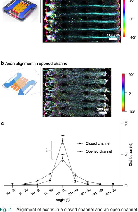 Three Dimensional Axotomy And Regeneration On Open Access Microfluidic