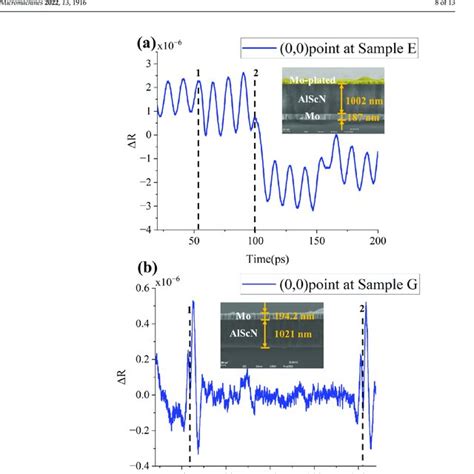 overview  picosecond ultrasound data  sem data
