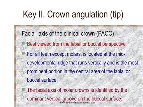 Andrews 6 Keys Of Normal Occlusion Certified Fixed Orthodontic Courses