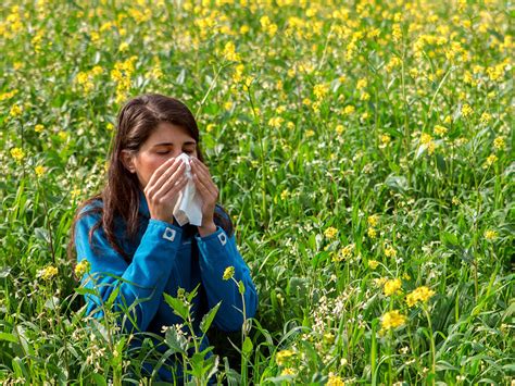 Kostenlose Online Tagung Heuschnupfen Allergie Heilpraktikerschule