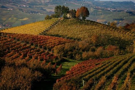 Matrimonio Nelle Langhe E Nel Roero Location Ristoranti E Cantine Per