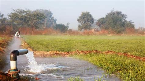 Narendra Modi Government Exploring New Ways To Curb Farm Water Use