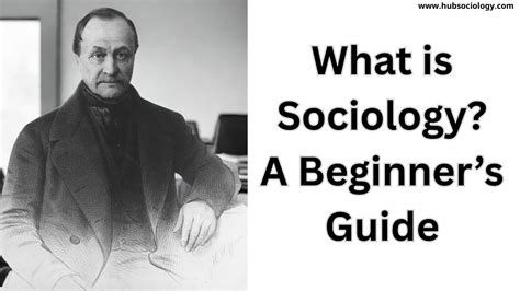 sociology  beginners guide  top  questions