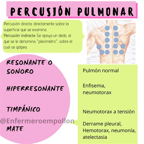 Percusión pulmonar Material de enfermeria Estudiante de medicina