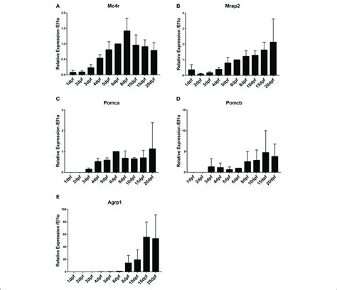 Time Course Of Gene Expression During Medaka Embryonic And Larval