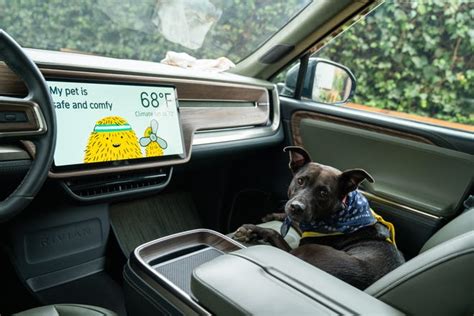 Rivians New Pet Comfort Mode Keeps Dogs Cats Cool In Vehicles