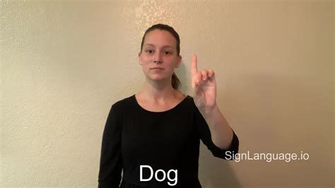 dog in ASL - Example # 9 - American Sign Language