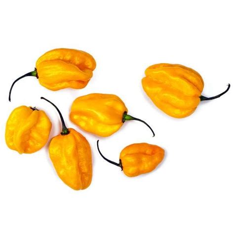 Habanero Pepper Seeds | Pepper Joe's - Pepper Joe’s