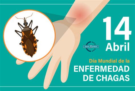 Día Mundial De La Enfermedad De Chagas Anafarmex