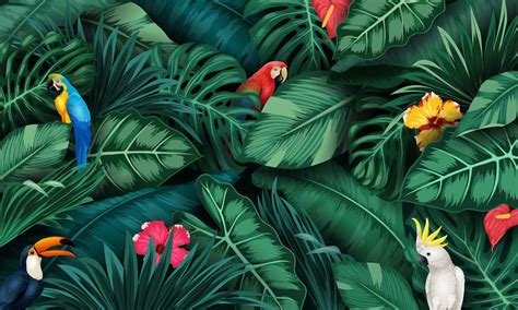 Tropical Plants And Birds Collection Set Vector Art At Vecteezy