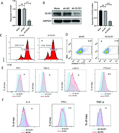 Glis Knockdown Alleviated Cd T Cell Exhaustion In Vitro A B