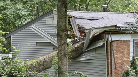 Your neighbor's tree falls on your house. Who pays for it? | wusa9.com