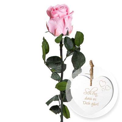 Blumenstrauß Rosafarbene Infinity Rose von Valentins auf Blumen de