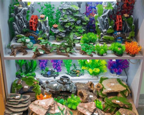 7 Best Ornaments for your Fish Tank. | Fish Tank Savvy