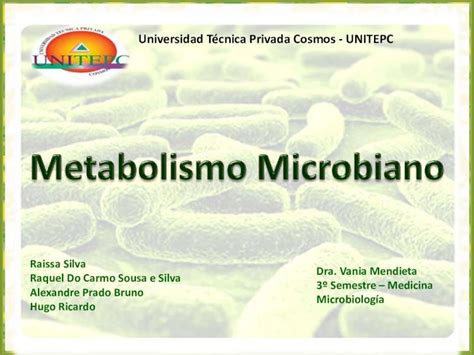 Pdf Metabolismo Microbiano Trabalho De Microbiologia Pdfslide Net