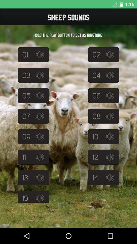 Sheep Sounds APK Download - Free Music & Audio APP for Android ...