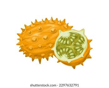 212 Melano Stock Vectors And Vector Art Shutterstock