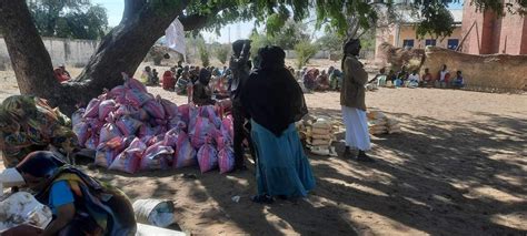 Protect displaced people in localities of south darfur - Alberdi ...