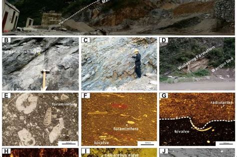 Permian marine mass extinction linked to volcanism-induced anoxia