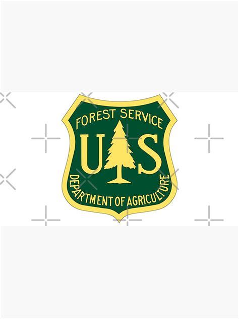 Us Forest Service Logo Gold And Green Shield Cap For Sale By