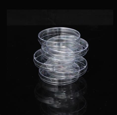 Laboratory Lab Transparent Disposable Plastic Cell Culture Container