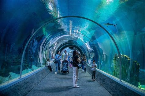 The Oceanic Zone And The Longest Underwater Tunnel In Poland