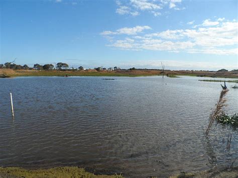 Tracks Trails And Coasts Near Melbourne Braeside Park Wetlands Area