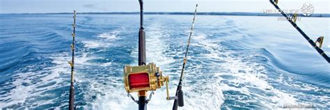 Pesca Deportiva En Madeira