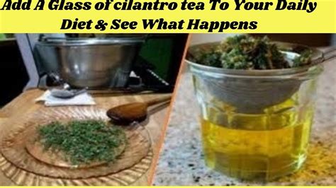 Add A Glass Of Cilantro Tea To Your Daily Diet And See What Happens Youtube