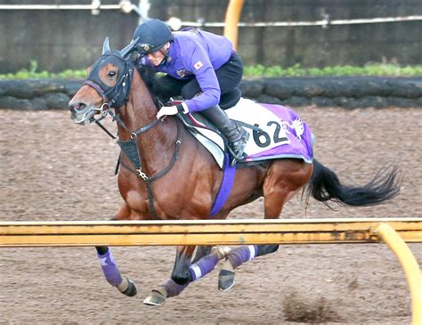 【中日新聞杯】アドマイヤビルゴは坂路でキャンター調整 陣営「一歩一歩力をつけています」 Umatoku 馬トク