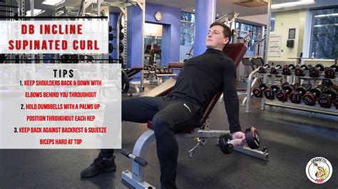 Db Incline Supinated Curl Youtube