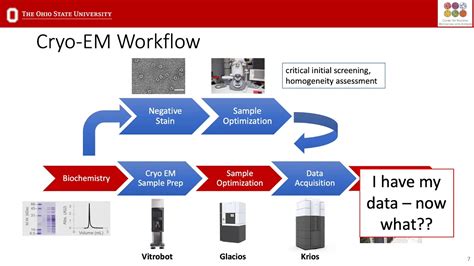 Introduction To Single Particle Data Analysis Using Cryosparc Youtube