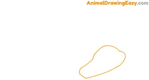 How to Draw an Alligator - Animaldrawingeasy.com