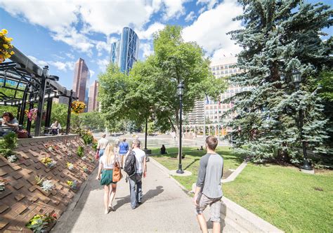 Best Walking Paths In Calgary