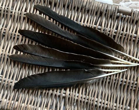 Black Crow Feathers large Points - Etsy