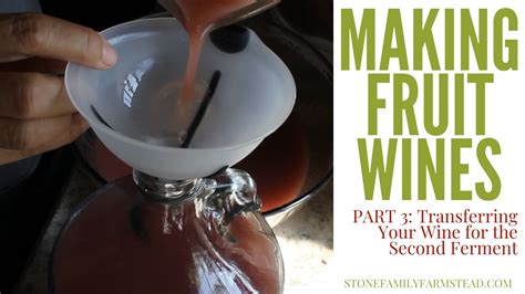 Making Fruit Wines Transferring Your Wine For The Second Ferment Part