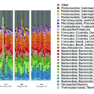 Relative Abundance Of Microbial Families Across Each Treatment Group