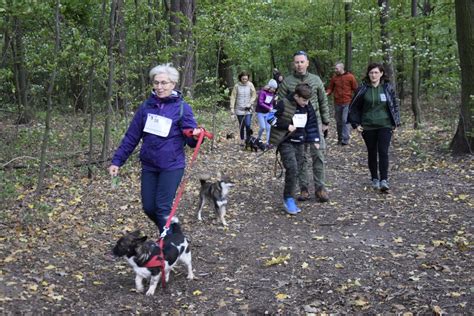 W schronisku dla zwierząt w Skierniewicach odbyła się piąta edycja