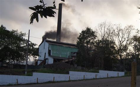 Por qué motivo disminuyó la producción de caña en el centro del estado