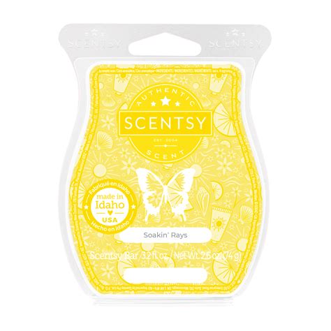 Soakin Rays Scentsy Bar Sammy Grace Scents