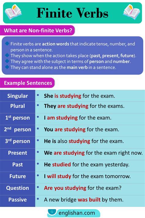 Finite and Nonfinite Verbs in English with Examples • Englishan