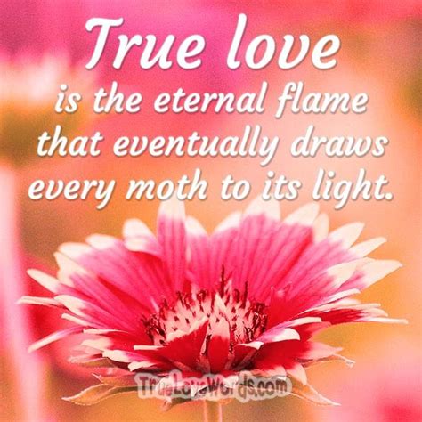 50 True Love Quotes And Messages True Love Words True Love Quotes