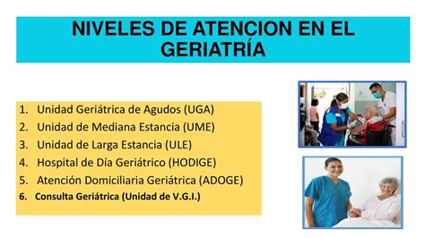 Niveles de atención en geriatría nursing apuntes uDocz