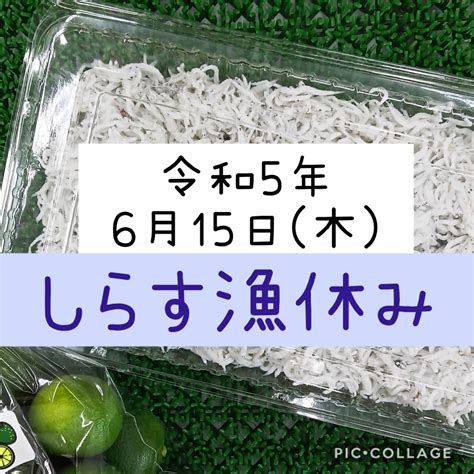 ふじまさ（藤政直営店） On Twitter 【 休漁のお知らせ 】 令和5年6月15日木 和田島しらす漁休みです 次回は6月16日