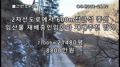 물건번호936경북 영양군 석보면 하단부 약4600평정도 준보전산지중 약2000평정도는 벌목후 임산물식재 하여 재배중인 임야와