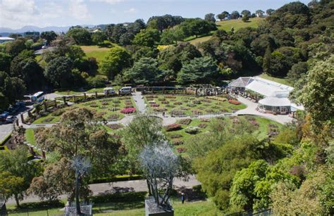 Wellington Botanic Gardens stock photo. Image of garden - 121680078