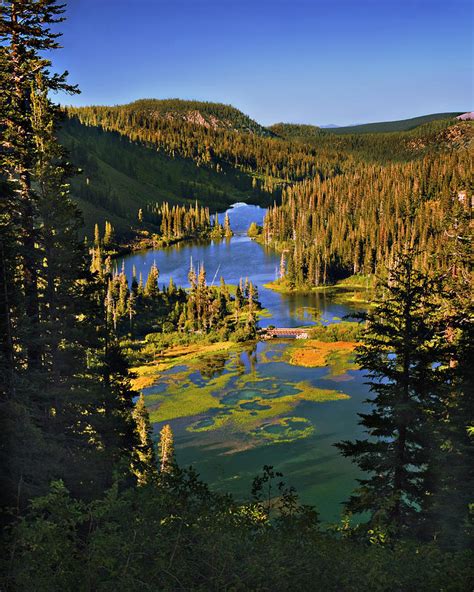 Twin Lakes Mammoth Photograph by John Christopher - Fine Art America