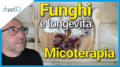 Come I Funghi Possono Cambiare Il Mondo La Nostra Salute E La Nostra