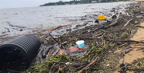 Chesapeake Bay Pollution